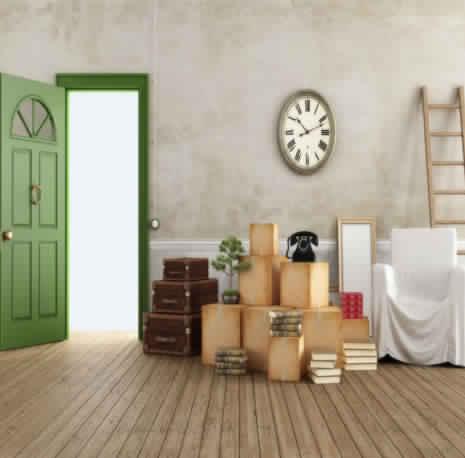 packing and moving services