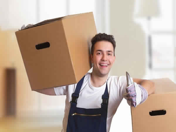 Pioneer  Logistics & Packers